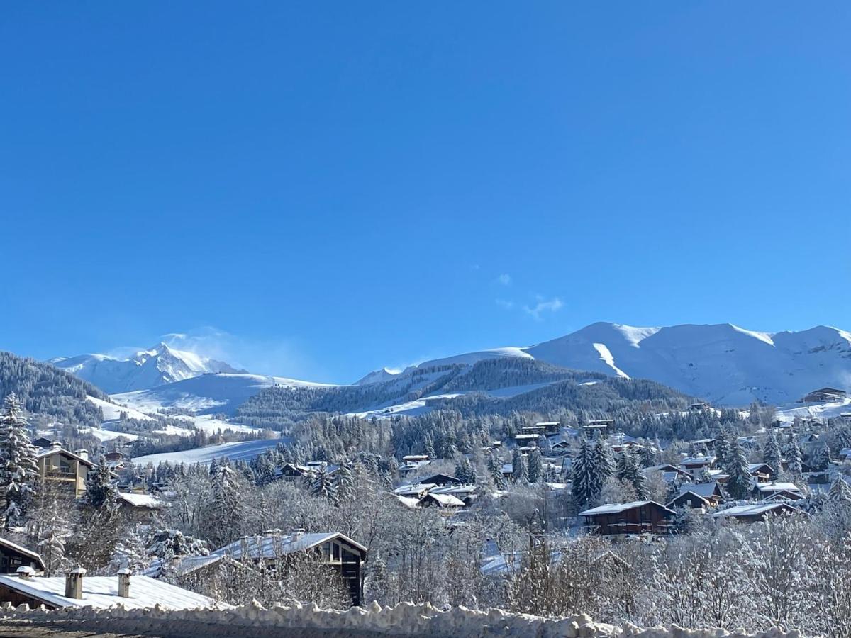 Chaleureux appartement rénové ambiance chalet Praz-sur-Arly Exterior foto