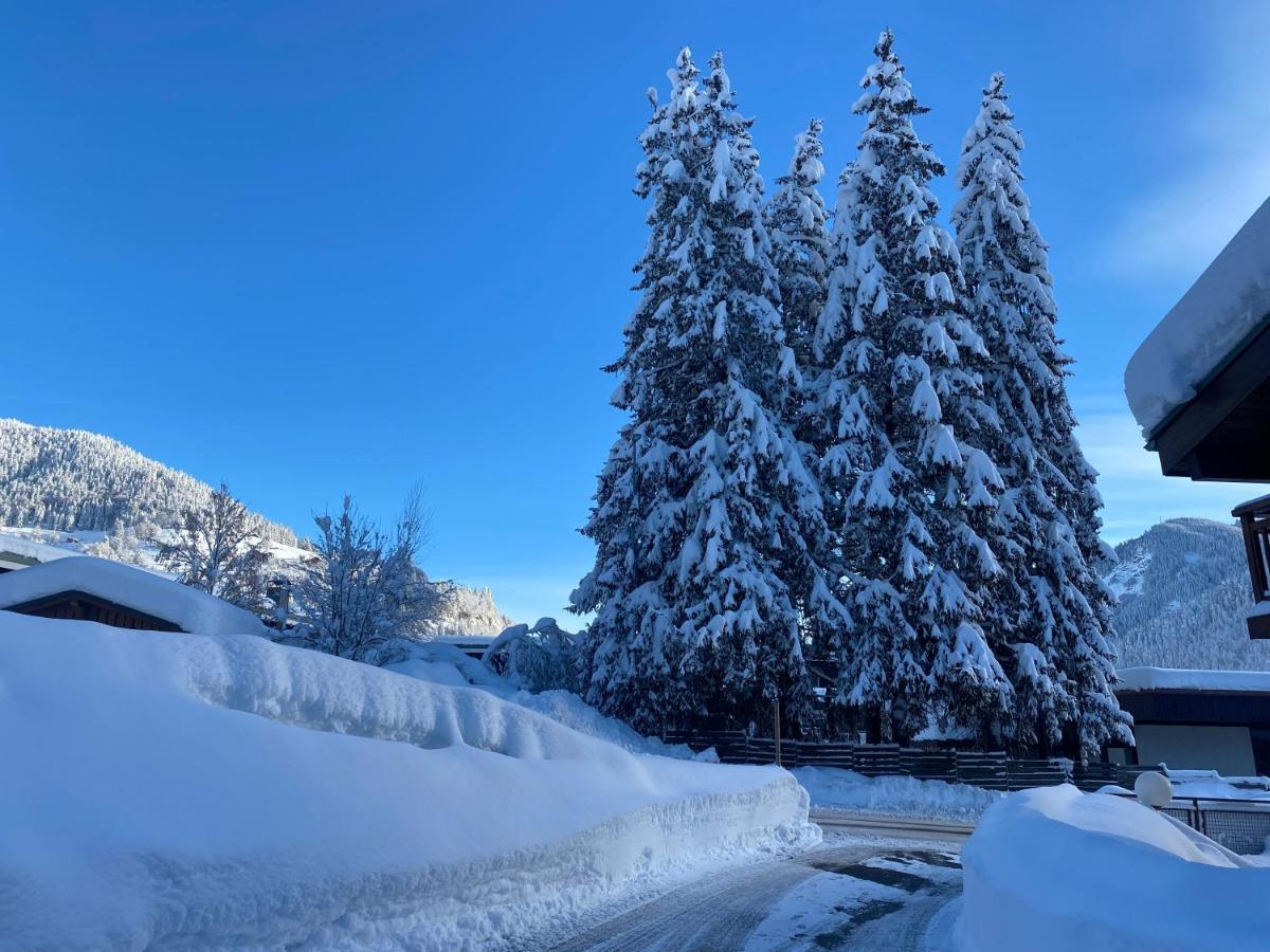 Chaleureux appartement rénové ambiance chalet Praz-sur-Arly Exterior foto